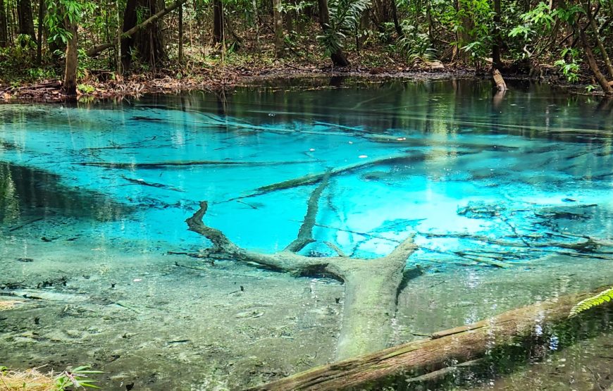 Krabi: Private Trip Tiger Cave Temple, Emerald Pool and Hot Springs  By Car